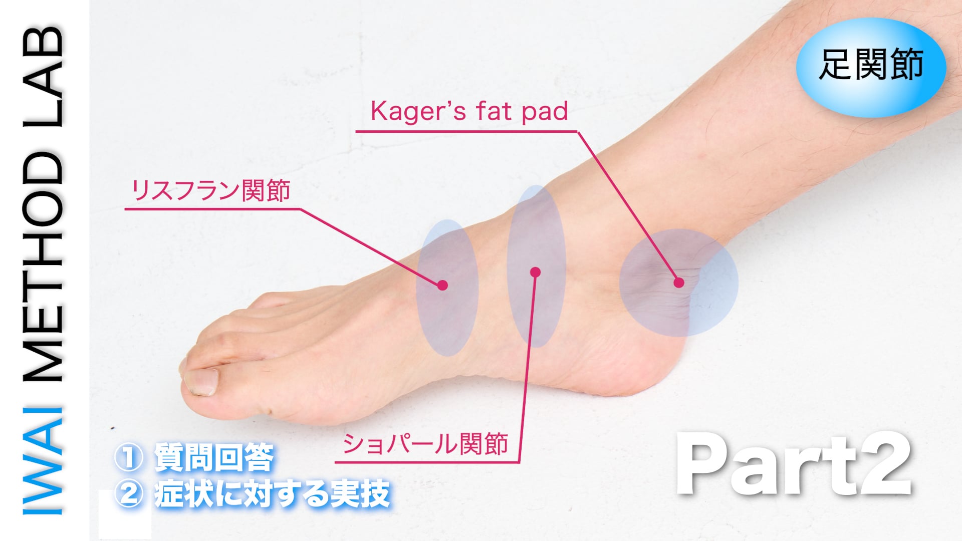 オンライン実技講習：足関節におこる痛みの原因と対処法Part.2