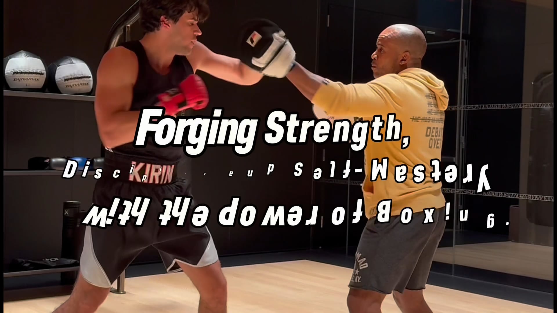 Perennial+Boxing+%2B+Fitness