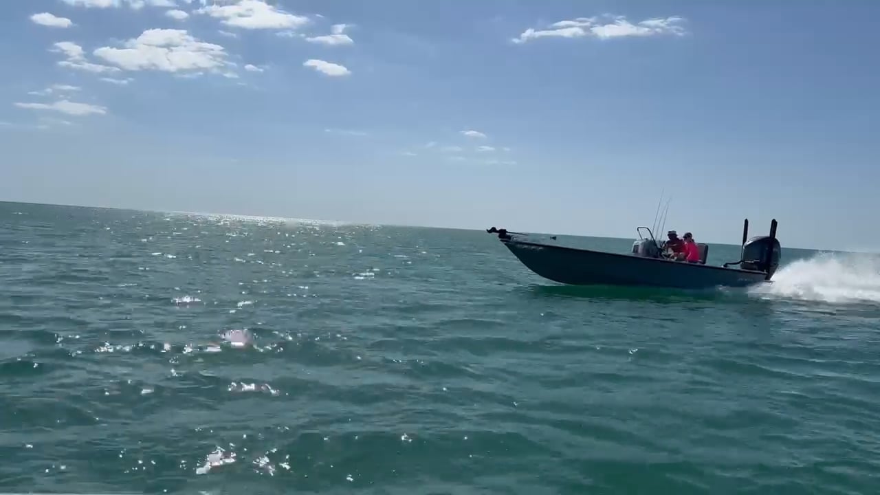 https://i.vimeocdn.com/video/2006932238-091954d13af69f1f26c8faf43fdd01f0b2ed110ce25e06251fe88b3beef1868d-d