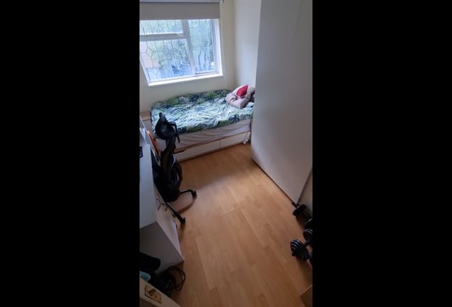 Double room Canning Town  Main Photo