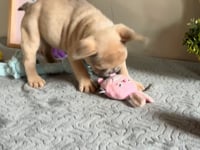Watch me play!