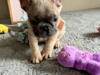 Watch me play!