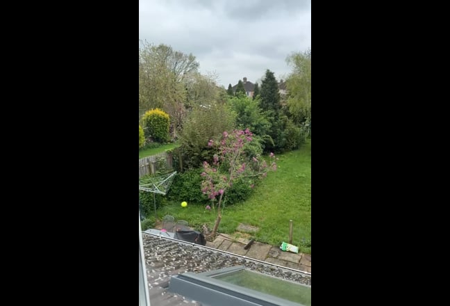 Bright comfortable double room, near town Main Photo