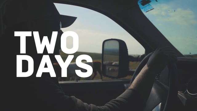 NextGen Cattle Event Recap Video
