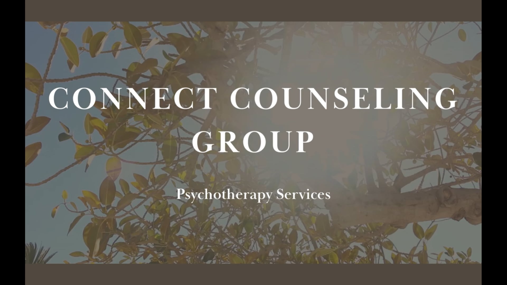 CONNECT COUNSELORS visual data 8