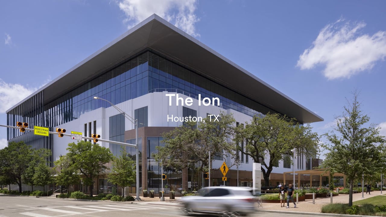The Ion