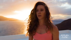 Related Embedded Video Item Thumbnail