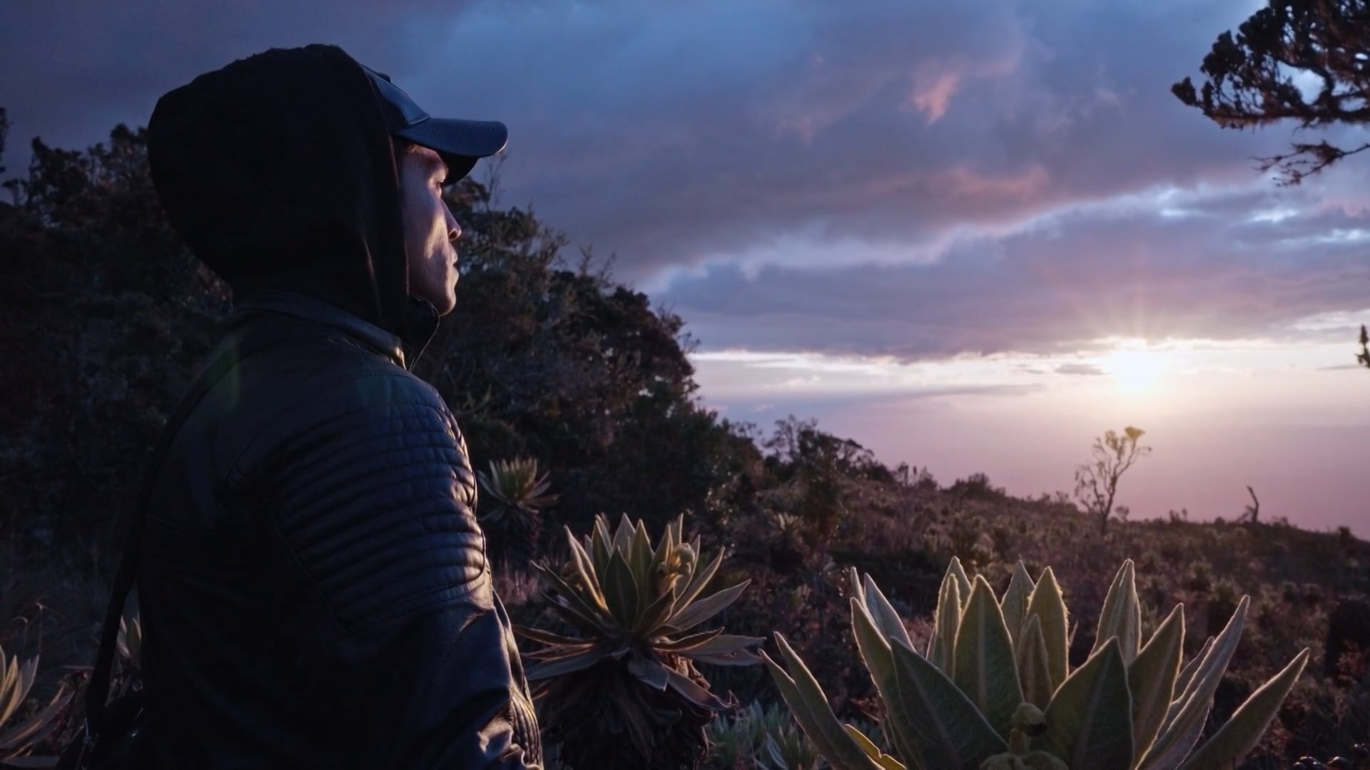 Brújula Paraíso -  Trailer