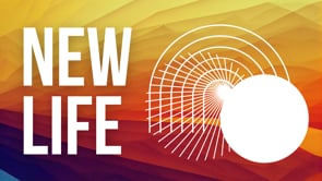 FUMC - NewSong | 04-20-25 | Easter Sunday