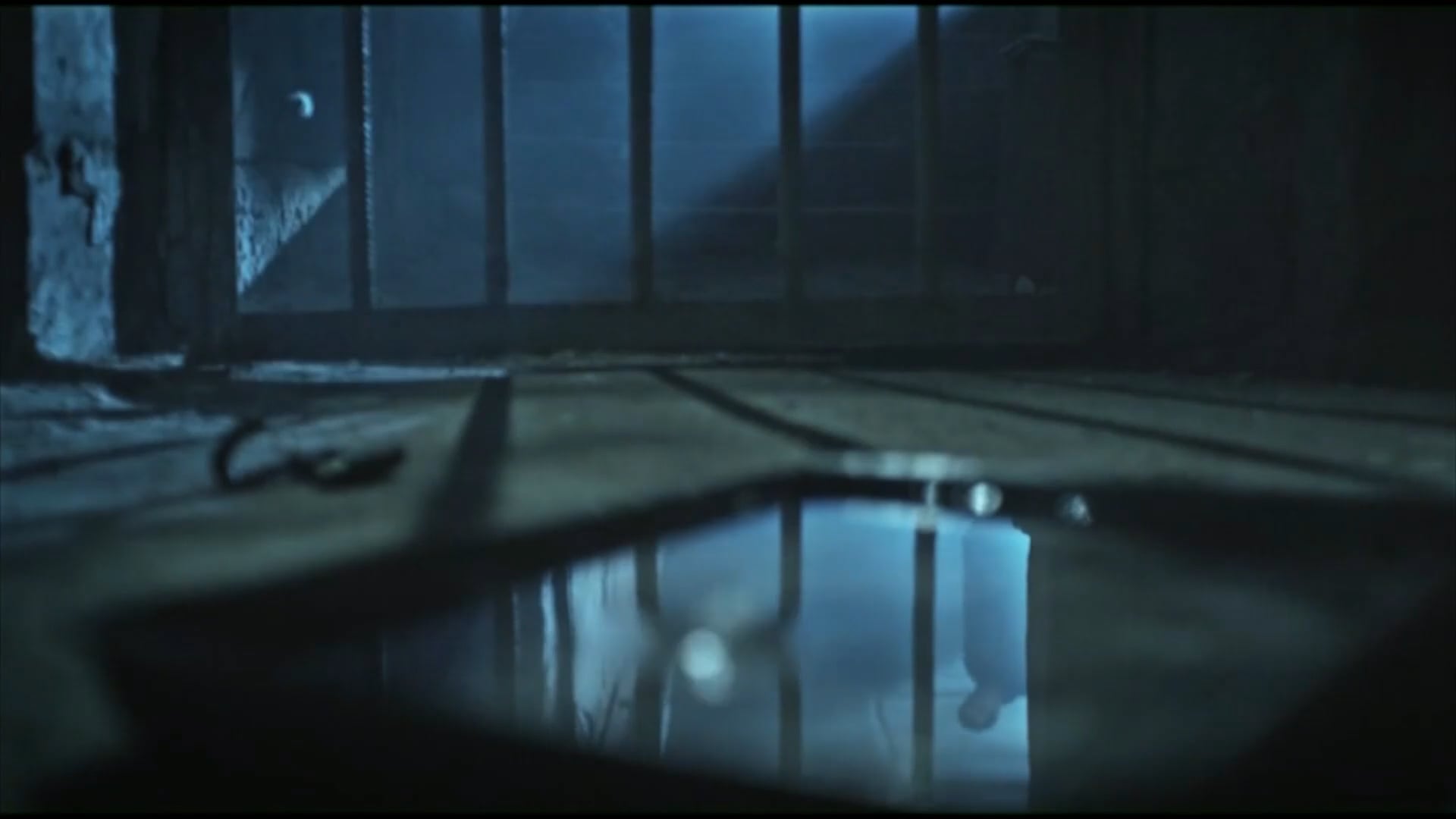 D.O.P. SHOWREEL