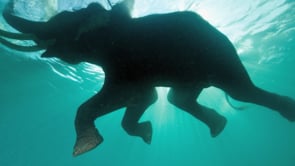 BROOKS INSTITUTE STUDENT GALLERY 2011