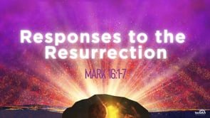 Responses to the Resurrection