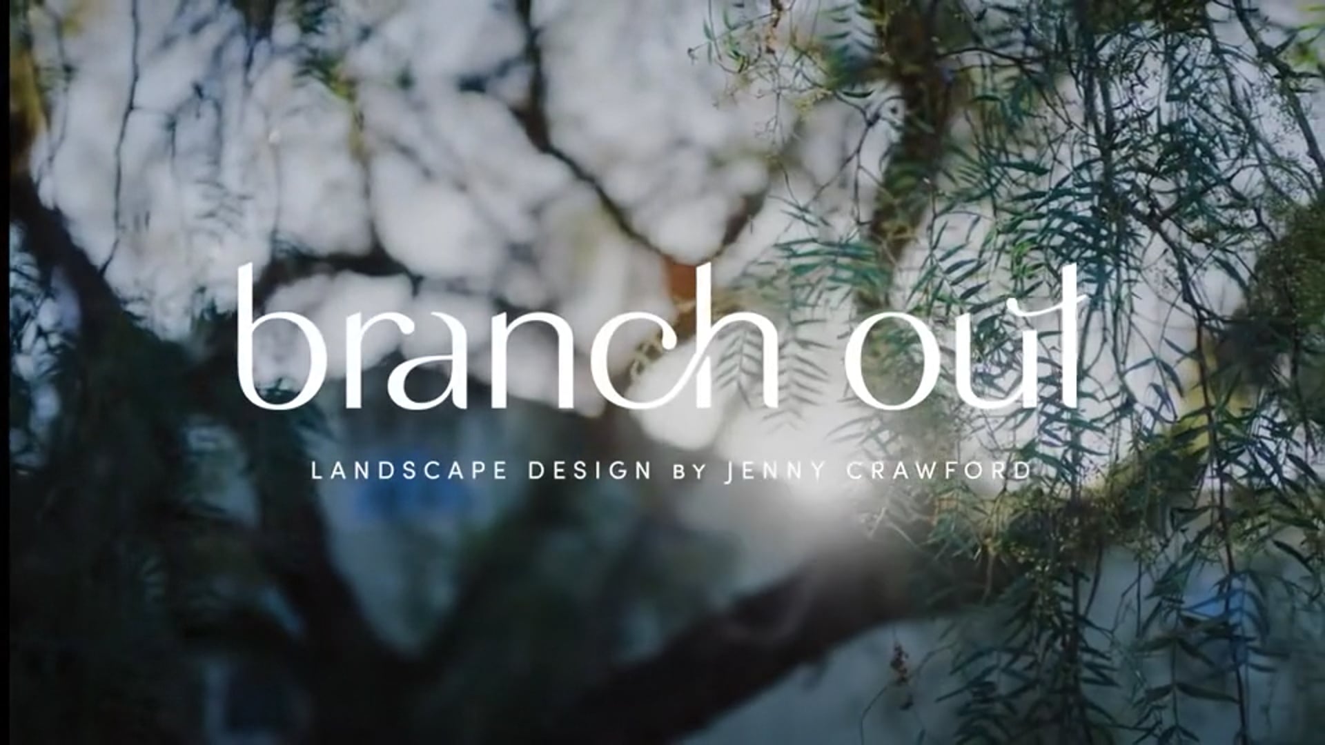 Branch Out Landscape Design