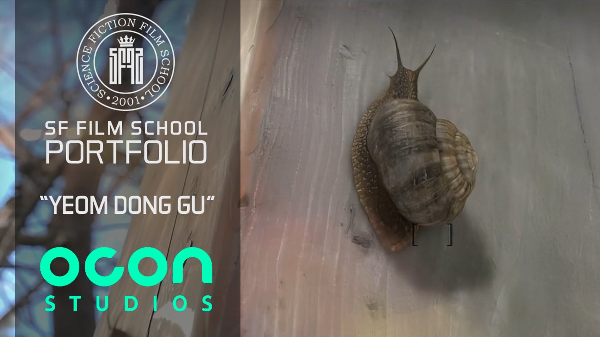SF FILM SCHOOL :: YEOM DONG GU - Snail