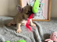 Watch me play!