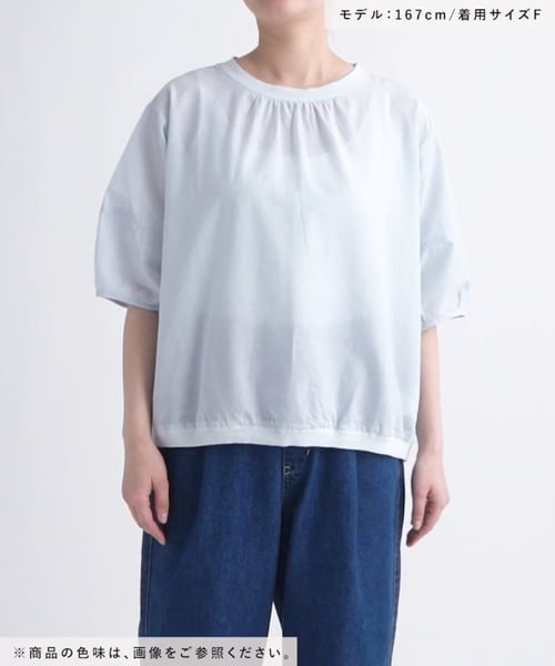 専用　30枚 人気カラー追加予約】ラミー混リブ付きシアーTブラウス | [公式