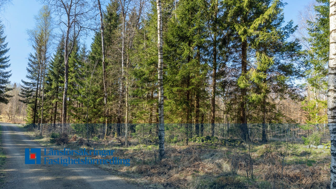 Tomt på Bygg drömboendet i Eket – med naturen som närmsta granne Eket Örkelljunga kommun - bild 2