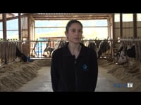 “Trabajamos para que las terneras lleguen en buen estado a la fase del destete y que se puedan marchar a Zamora con las mejores condiciones"