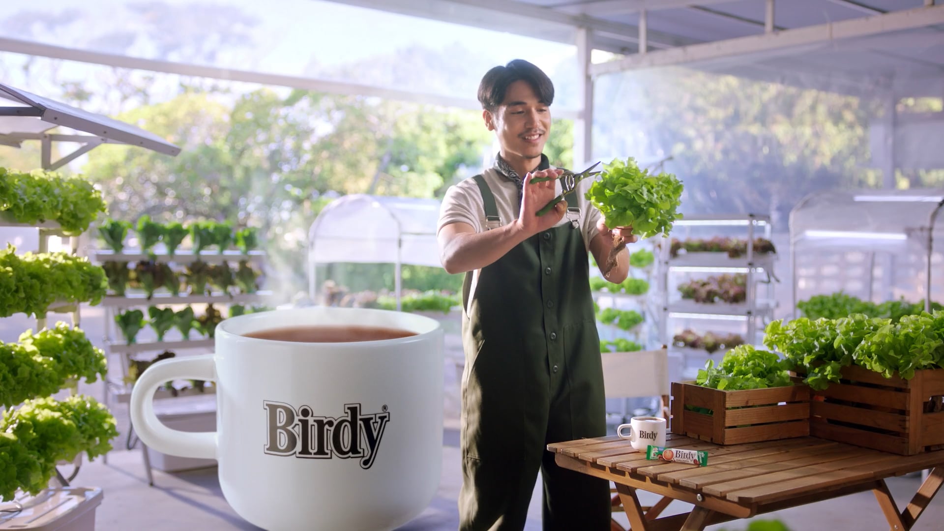 Birdy : Espresso