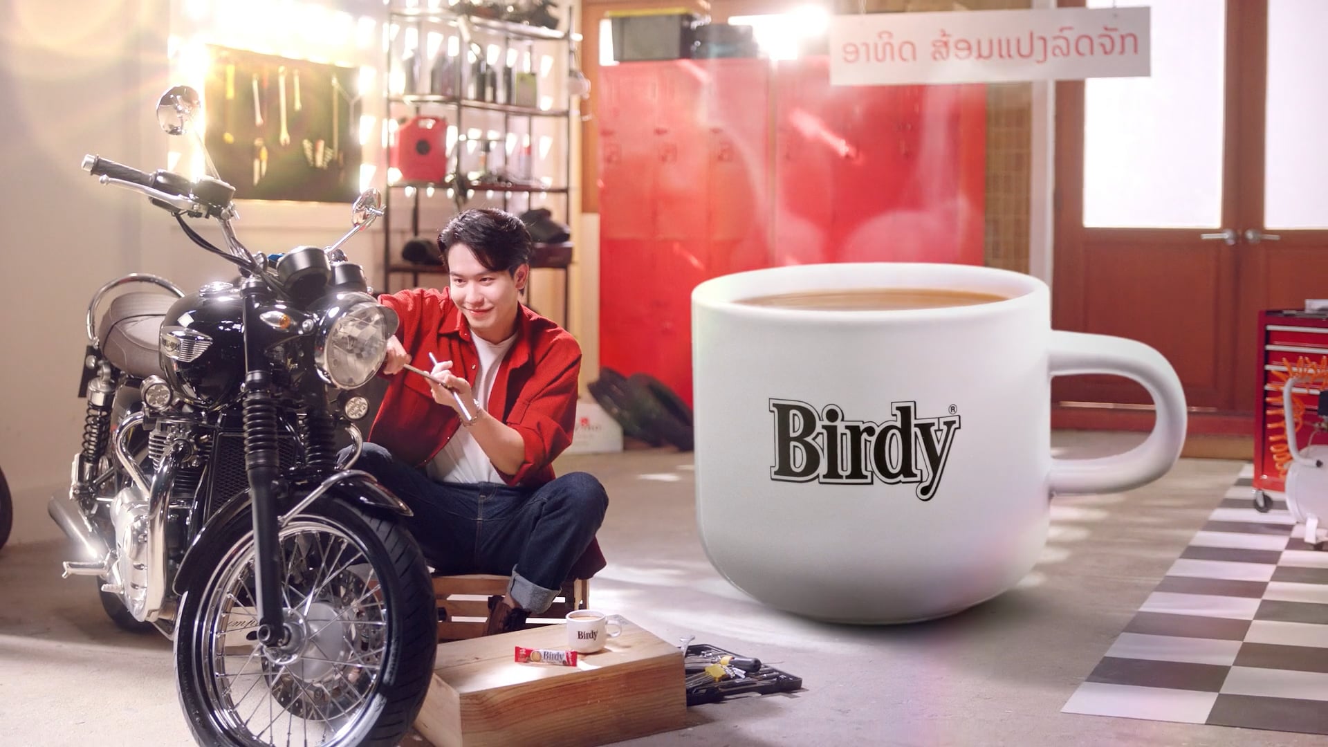 Birdy : Robusta