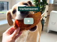 Gun je hond een heerlijke en natuurlijke kauwsnack met onze 100% natuurlijke varkensoren! Perfect voor langdurig kauwplezier en de natuurlijke reiniging van het&amp;hellip;