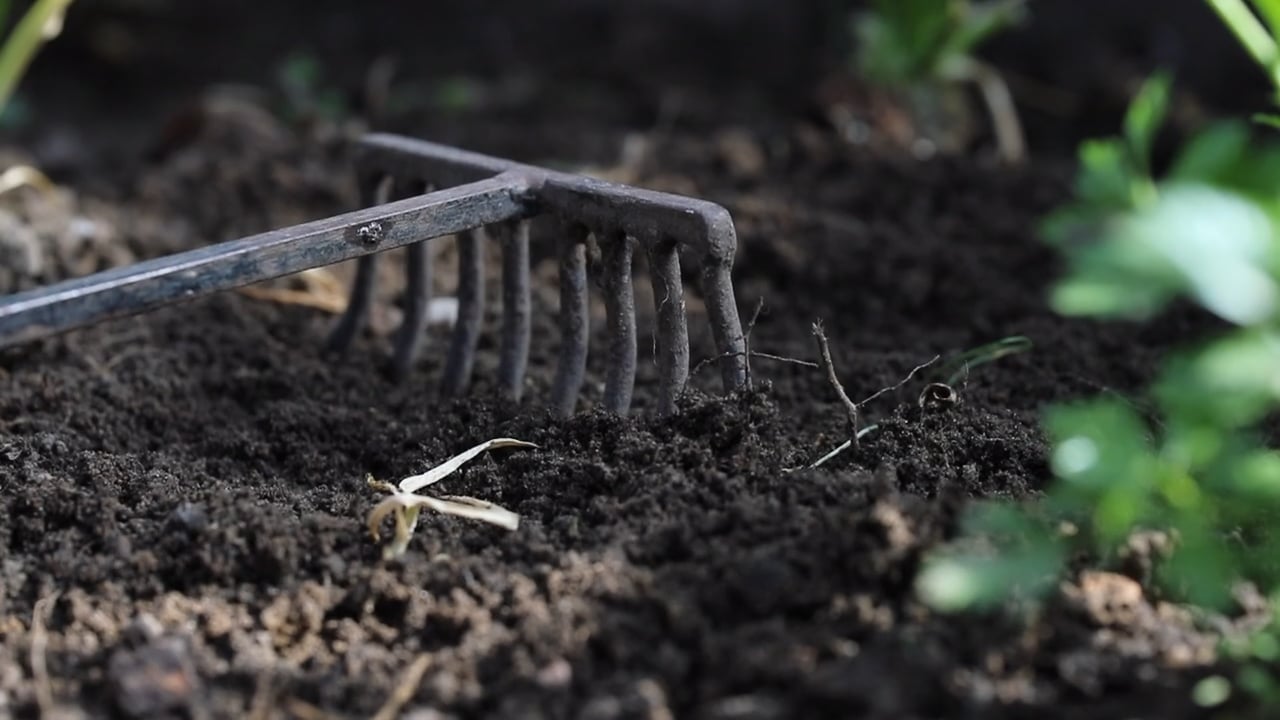 https://i.vimeocdn.com/video/2007650039-be2095753eadf15833c45d2bb2e44123d51223c812957c82abe7ceea6e25a186-d