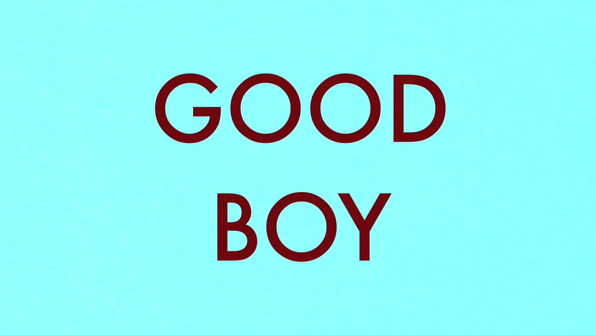 GOOD BOY.