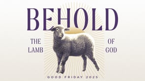 Behold the Lamb of God | Peter Visscher