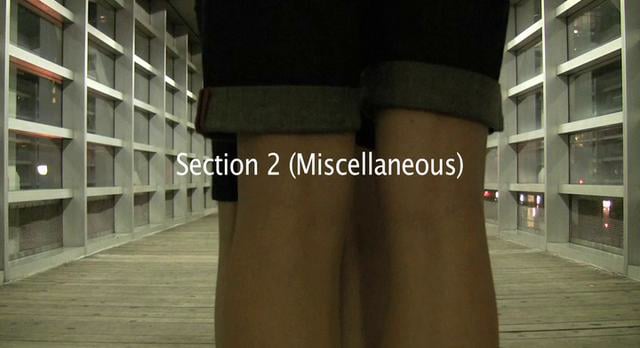 Section 2 (Misc.) on Vimeo
