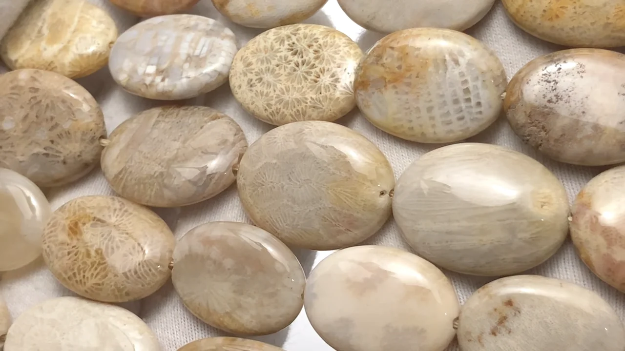 フォシルコーラル（化石珊瑚） フラットオーバル｜天然石ビーズの卸