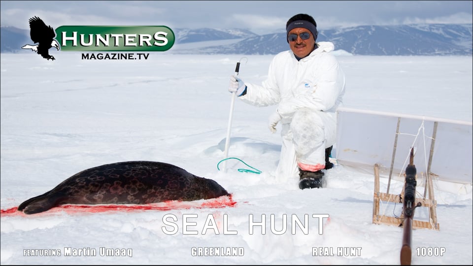 Seal Hunt