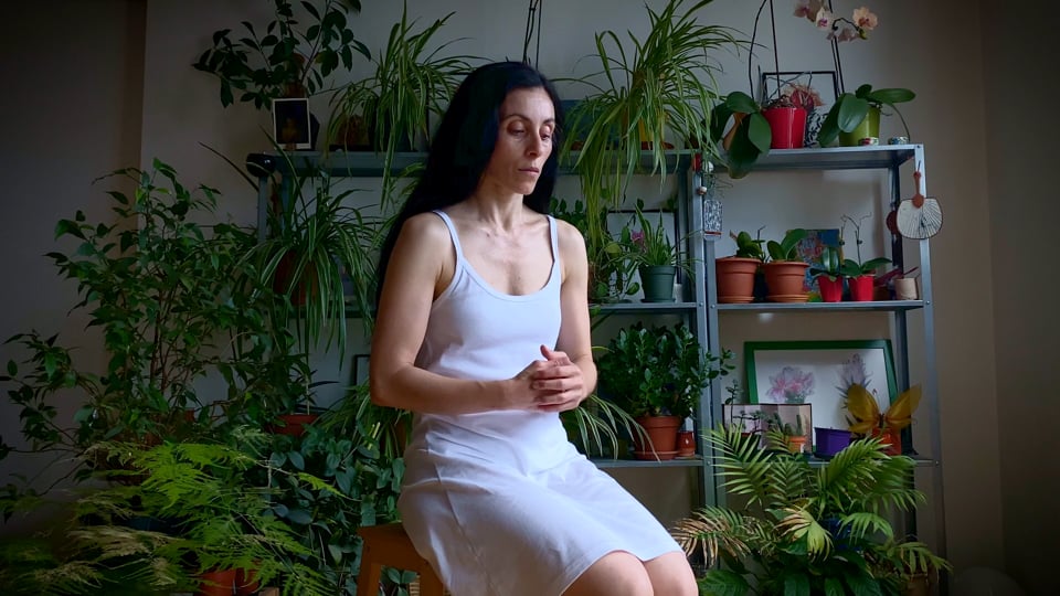 Di STANZe
