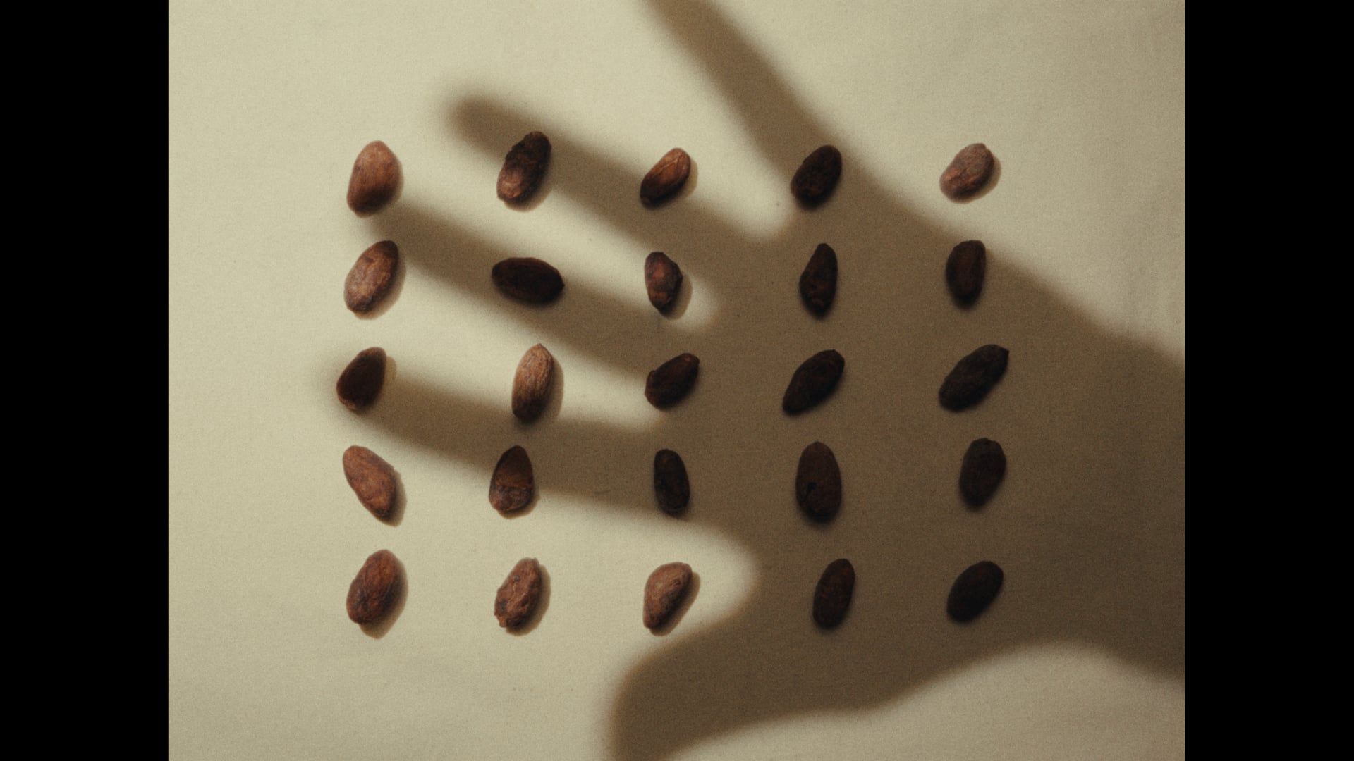 JACOT HAUTE CHOCOLATERIE - DIRECTOR'S CUT