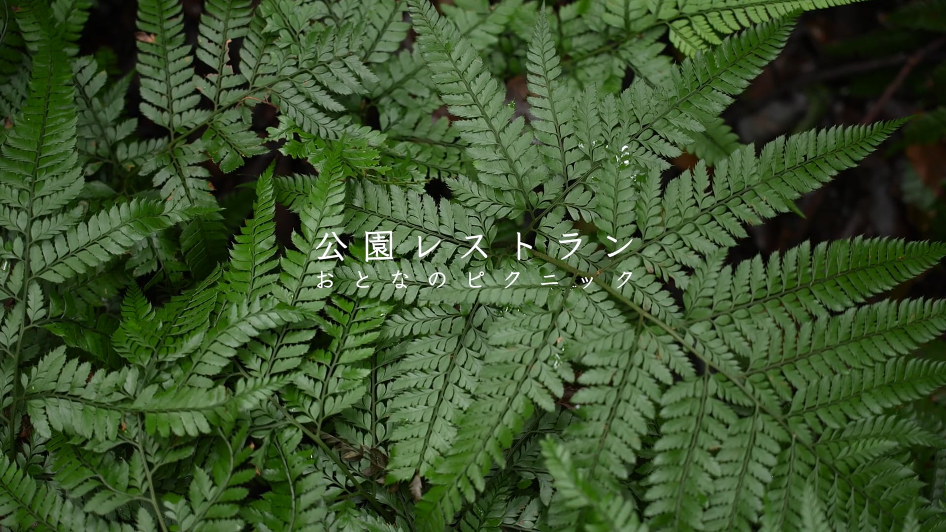 公園レストラン2021 Restaurant KAWASAKI x INN THE PARK -day-