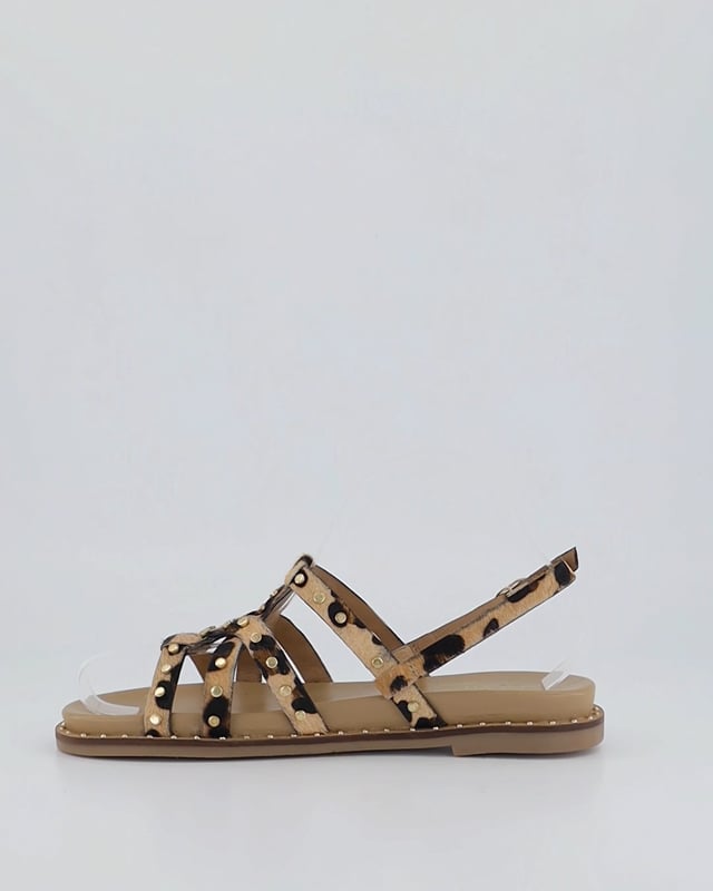 KEPPA / Leopard