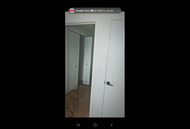Spacious Room and Private Bathroom Main Photo