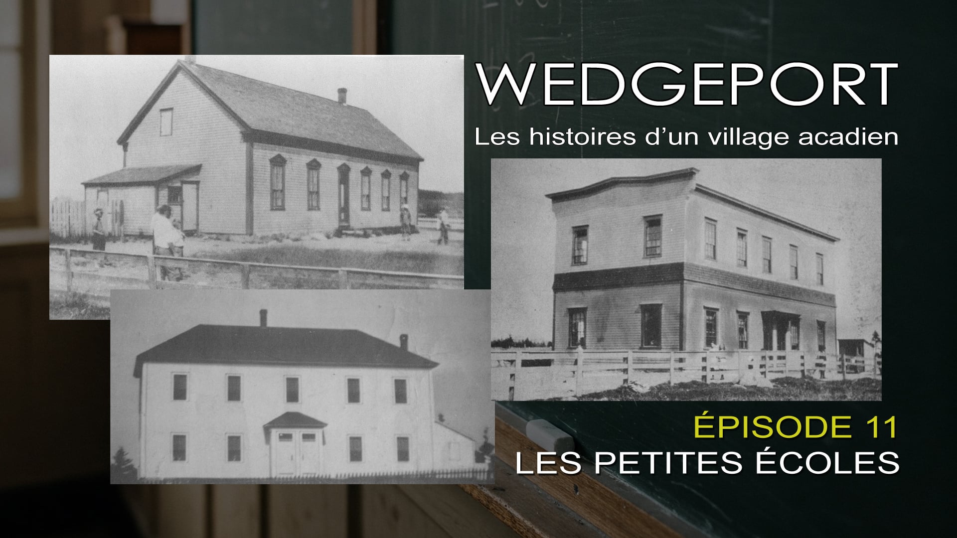 WEDGEPORT - Les petites écoles (Épisode 11)