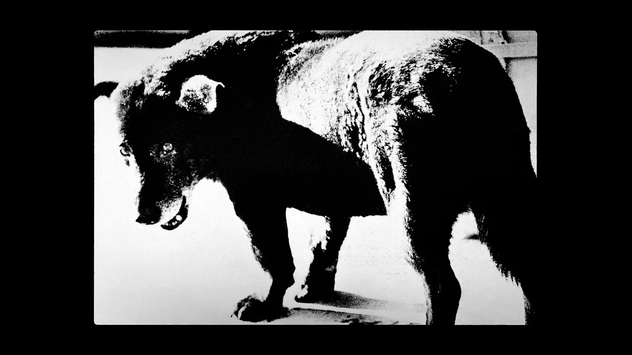 Daido Moriyama: Daido Slide on Vimeo