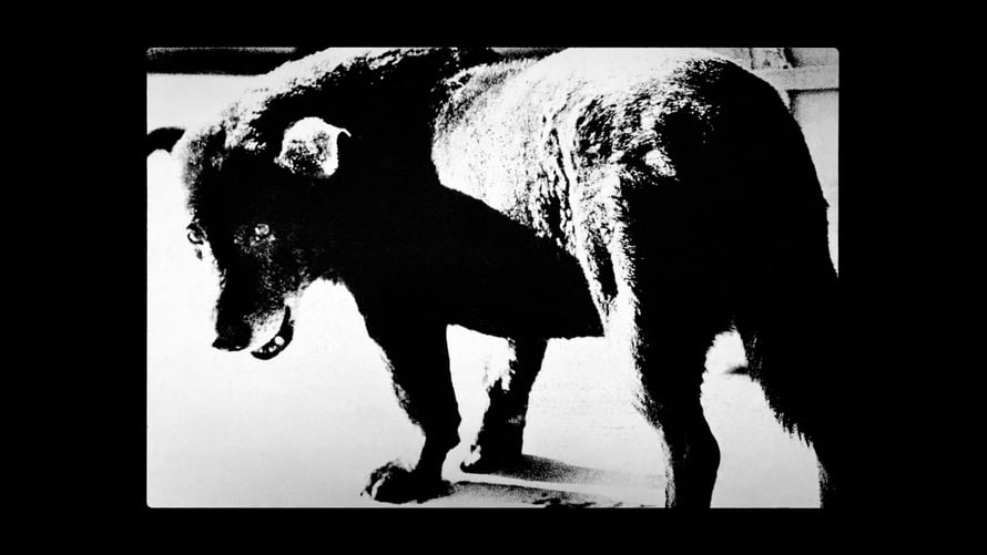 Daido Moriyama: Daido Slide | Videos & Movies on Vimeo