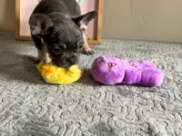 Watch me play!