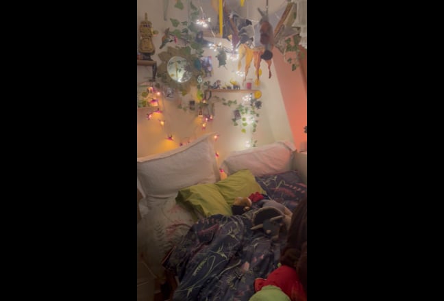 Video 1: