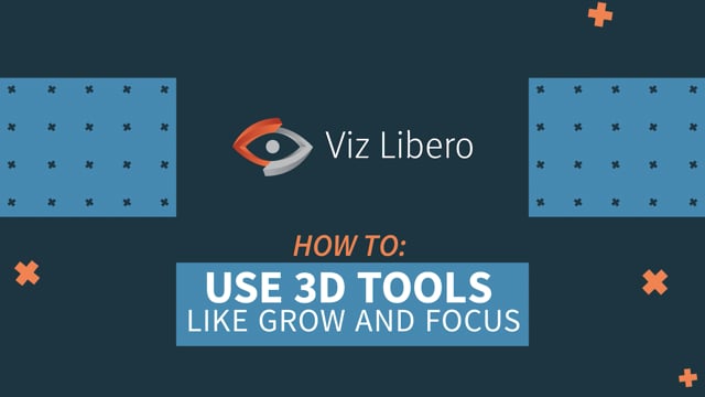 Viz Minute: How to use 3D tools in Viz Libero