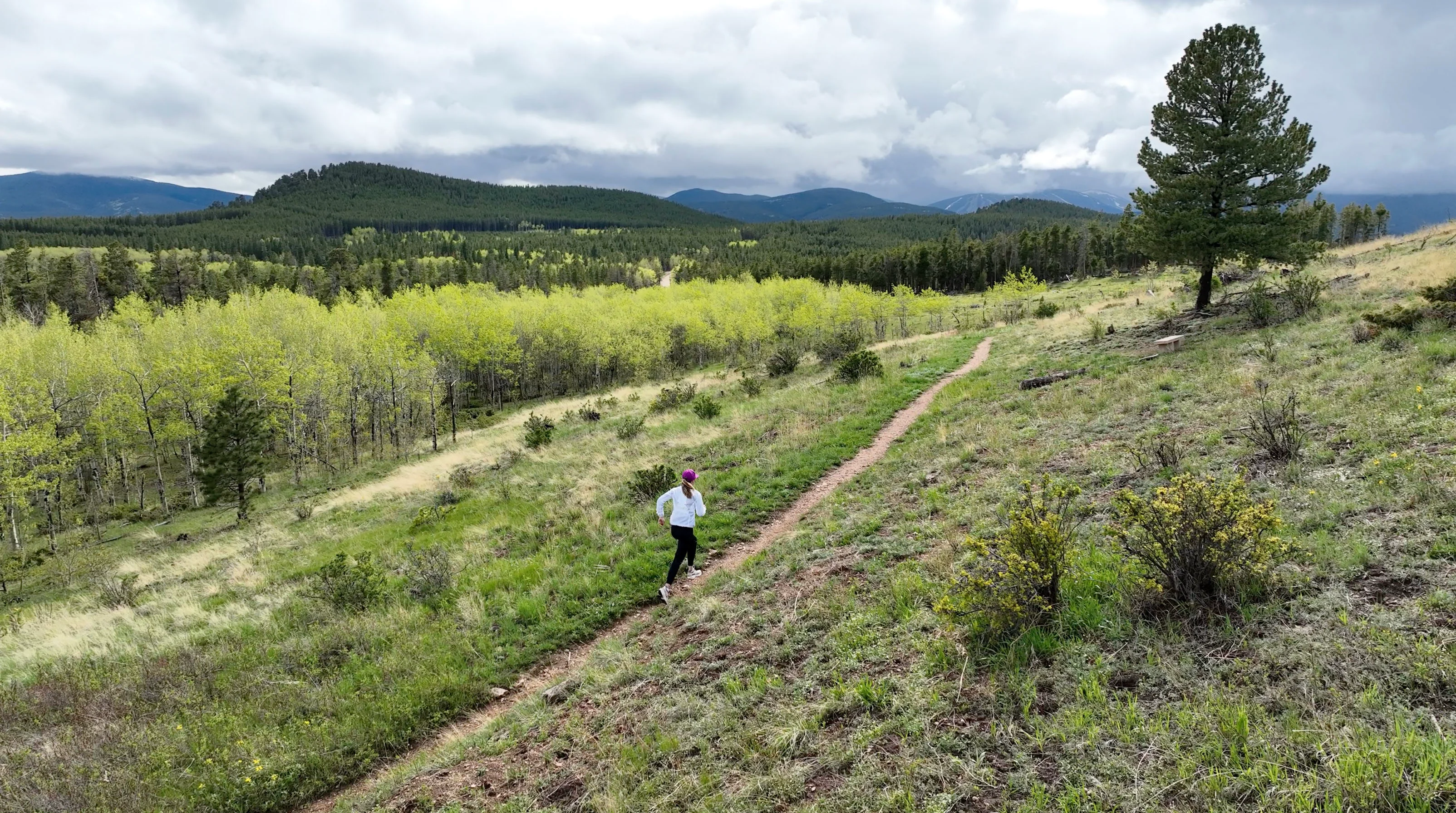 Craft Trail Running - Colorado