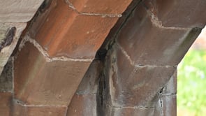 Dipper Building Nest