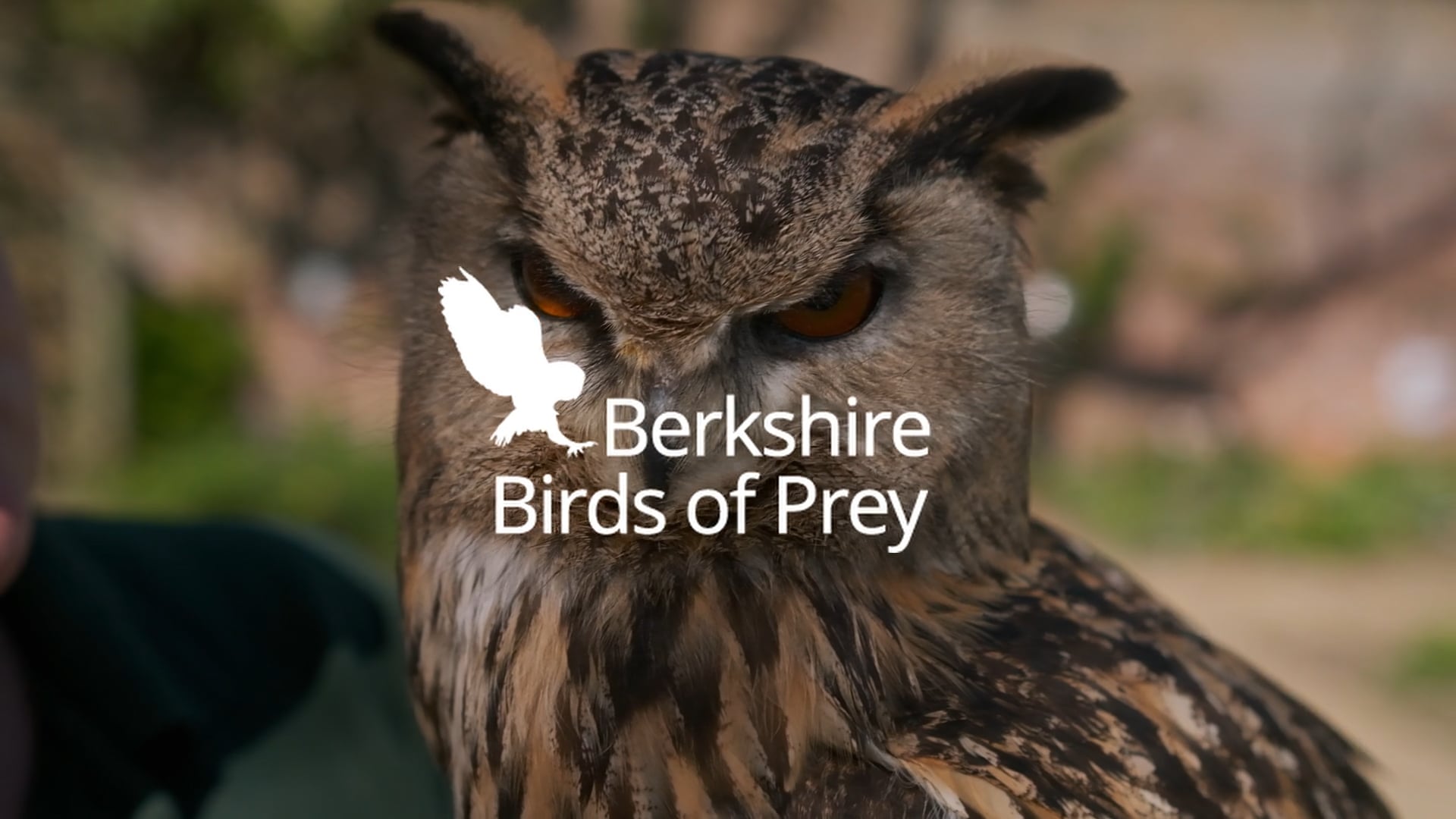 Berkshire Birds Of Prey