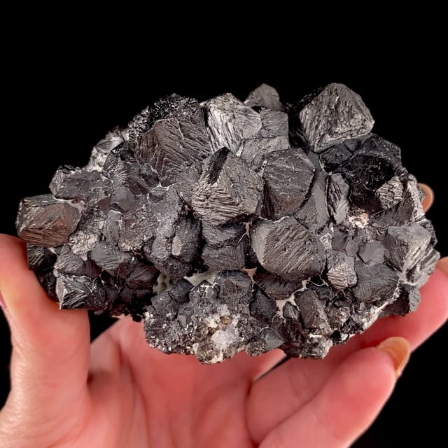 Magnetite (good locality specimen) | Grace Mine, Morgantown, Berks Co ...