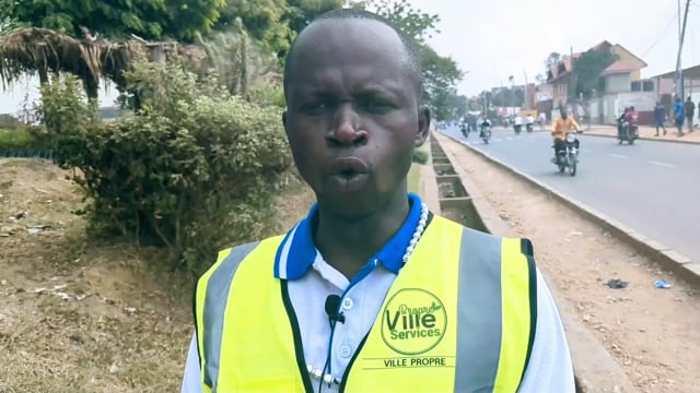 La culture des choux en danger