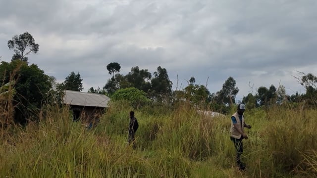 Rivière Chari polluée