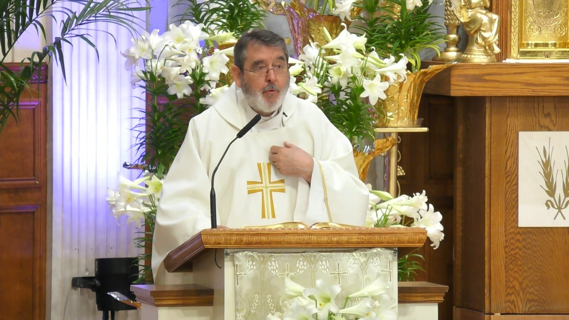 La Santa Misa – 27 de Abril de 2025