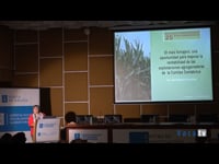 El maíz forrajero: una oportunidad para mejorar la rentabilidad de las explotaciones agroganaderas de la cornisa cantábrica